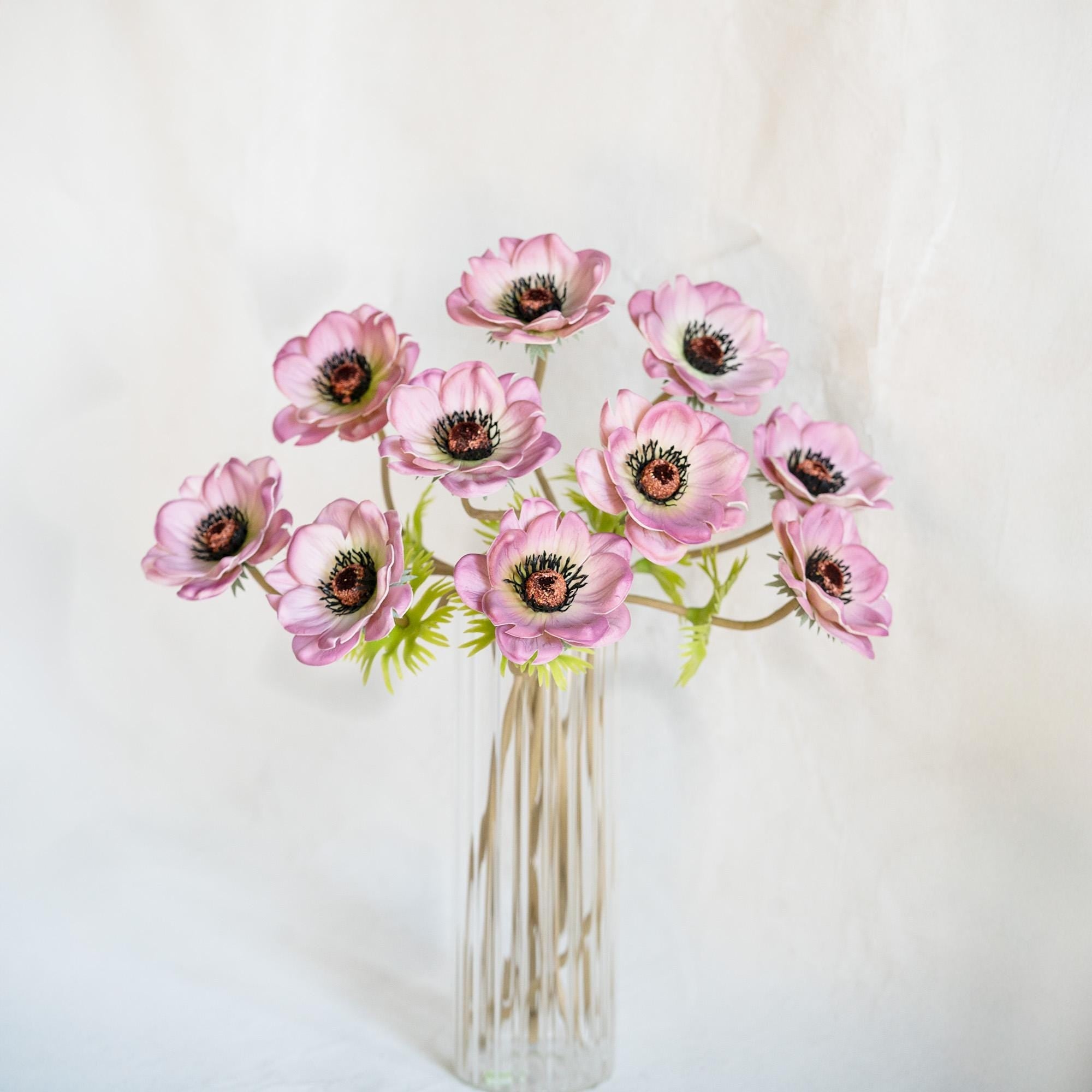 Home Floral – Anemones Stems