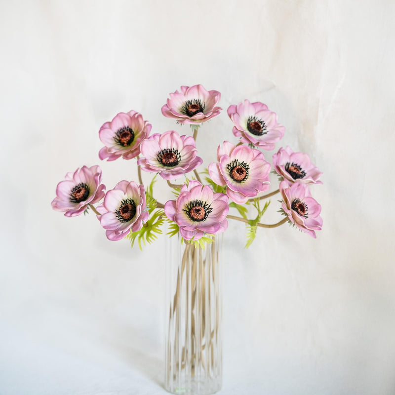 Home Floral – Anemones Stems