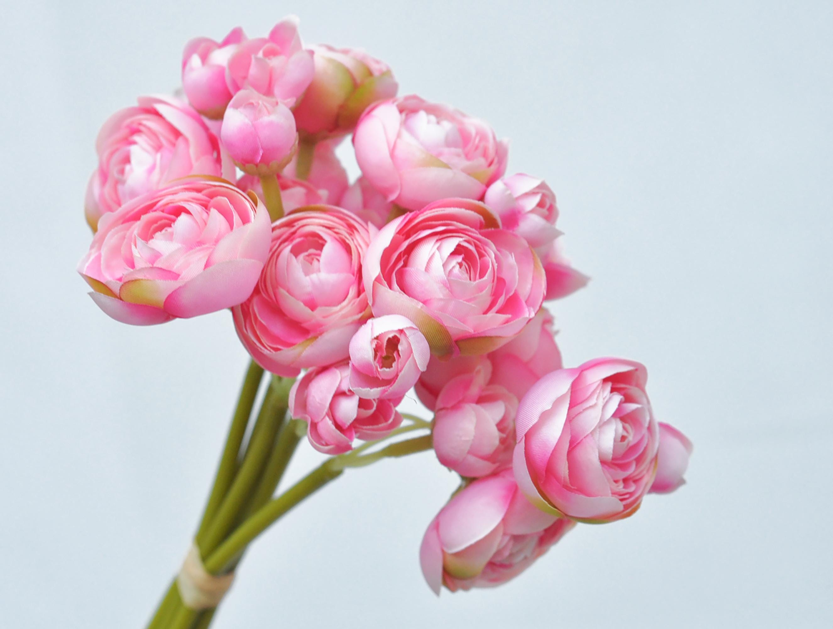 Hot Pink Rose Stems – Faux Flower Bundle Perfect For DIY Wedding Bouquet, Wreath Design, Silk Ranunculus Centerpiece, Crafts & Arrangements