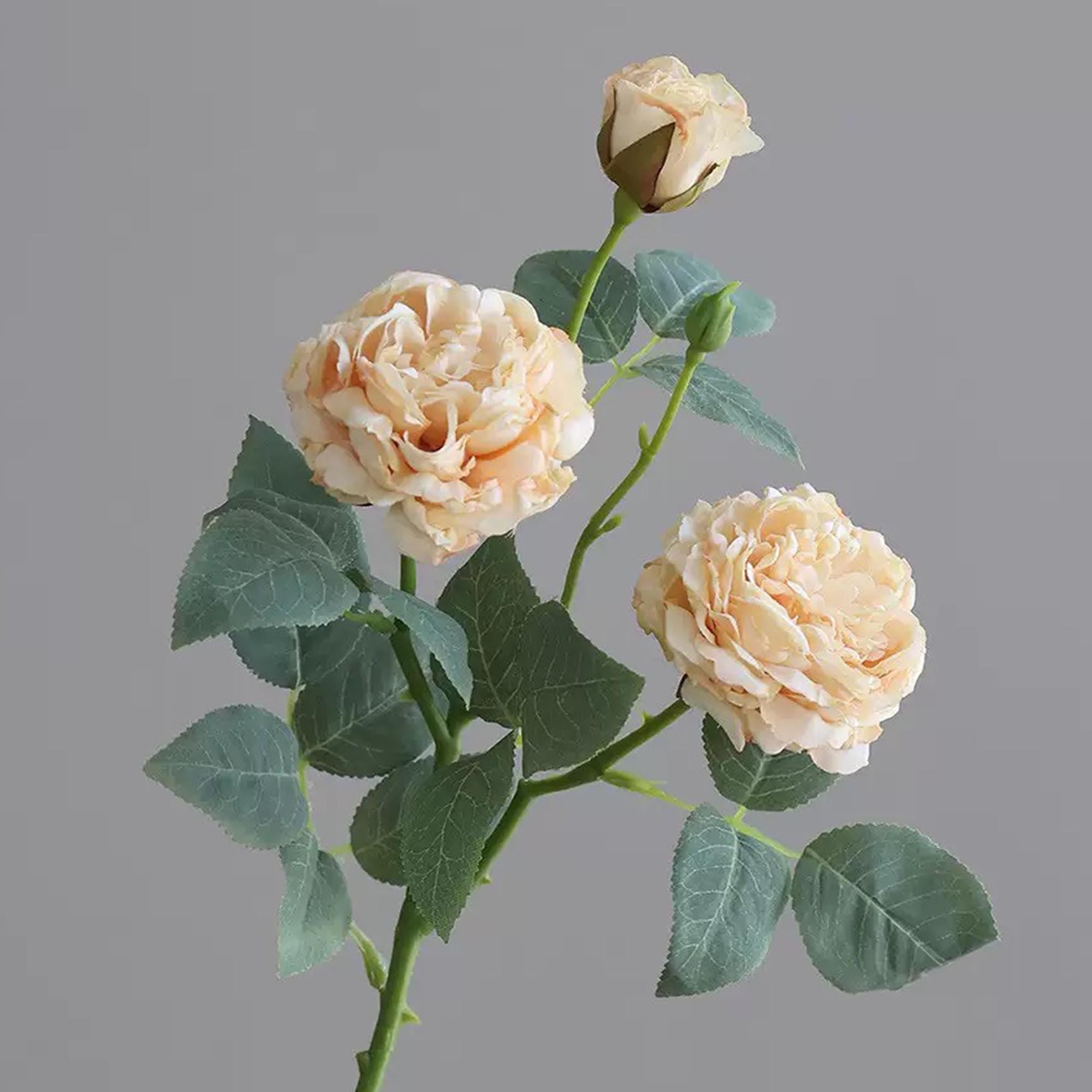 20'' Ivory Champagne 3-Head Silk Peony, Faux Rustic French Peony Stem, Vintage-Inspired Boho Floral Decor, French Country Wedding Floral