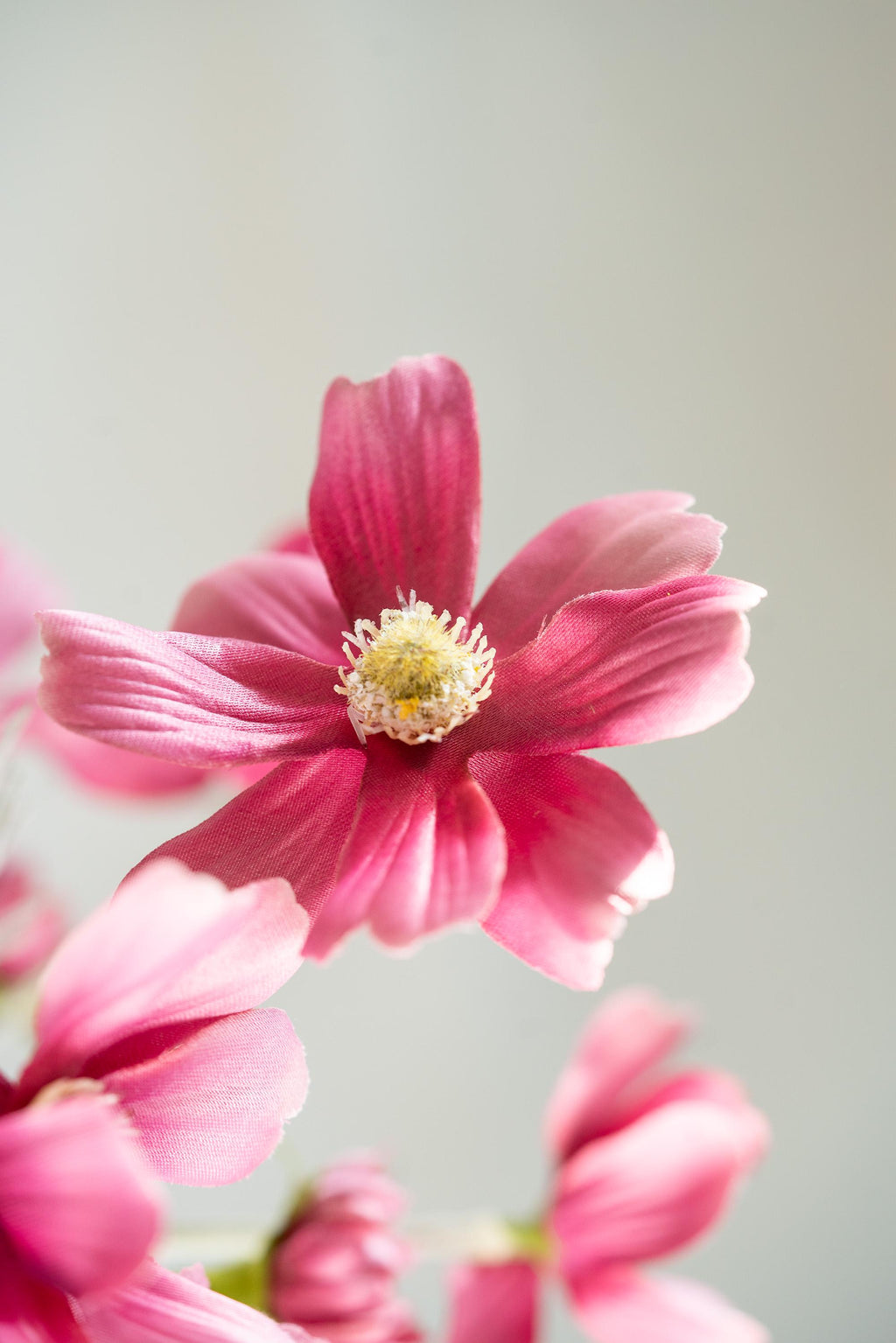23.6" Purple Red Faux Cosmos Flowers – Long Stem Cosmos Bouquet Flowers for Home Décor, Wedding Arrangements & Table Centerpieces