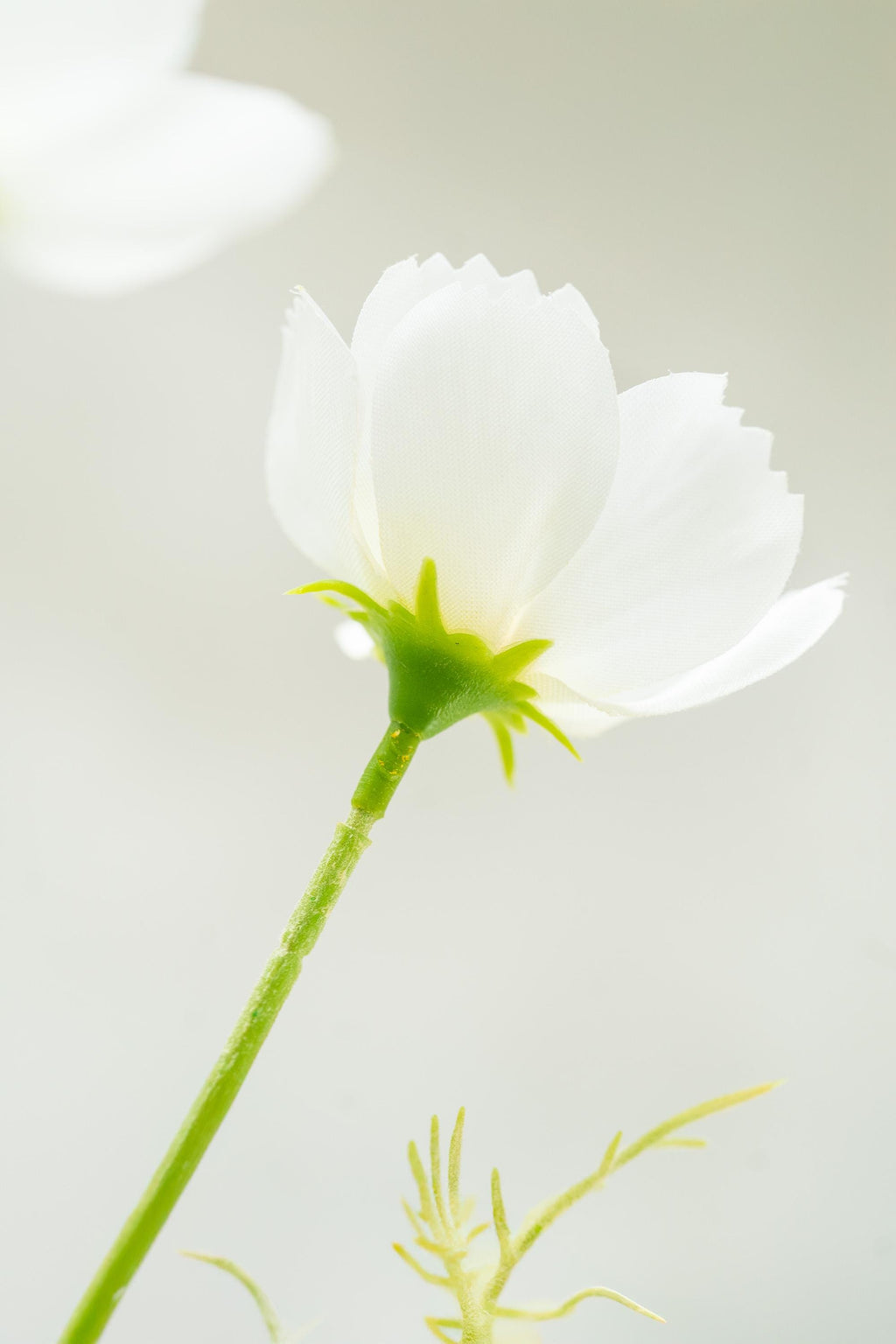 23.6" White Faux Cosmos Flowers – Long Stem Cosmos Bouquet Flowers for Home Décor, Wedding Arrangements & Table Centerpieces