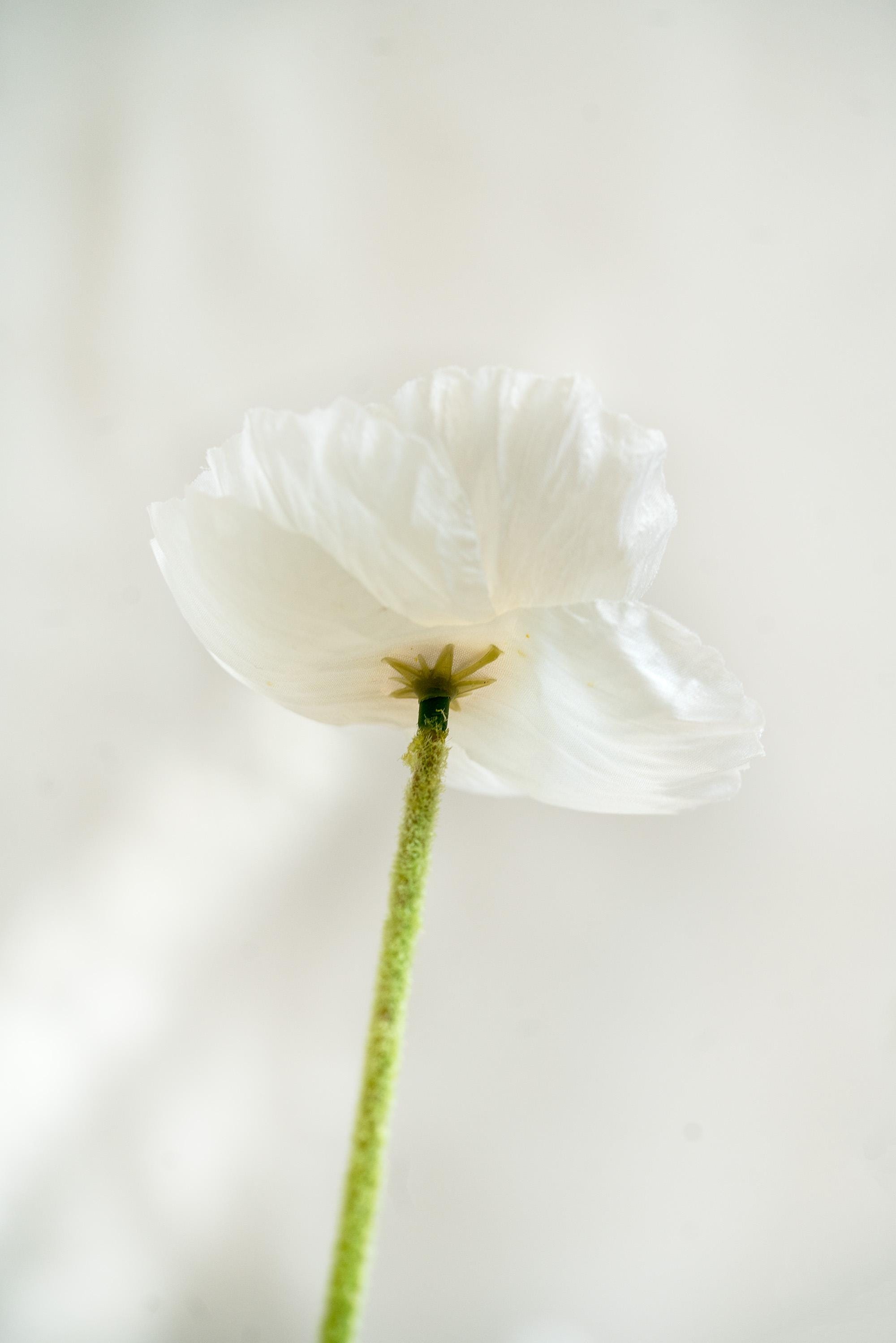 23.6" White Faux Poppy Flower Stem – Silk Poppy for DIY Floral Arrangements, Wedding Centerpieces, Home Décor & Flower Bouquets