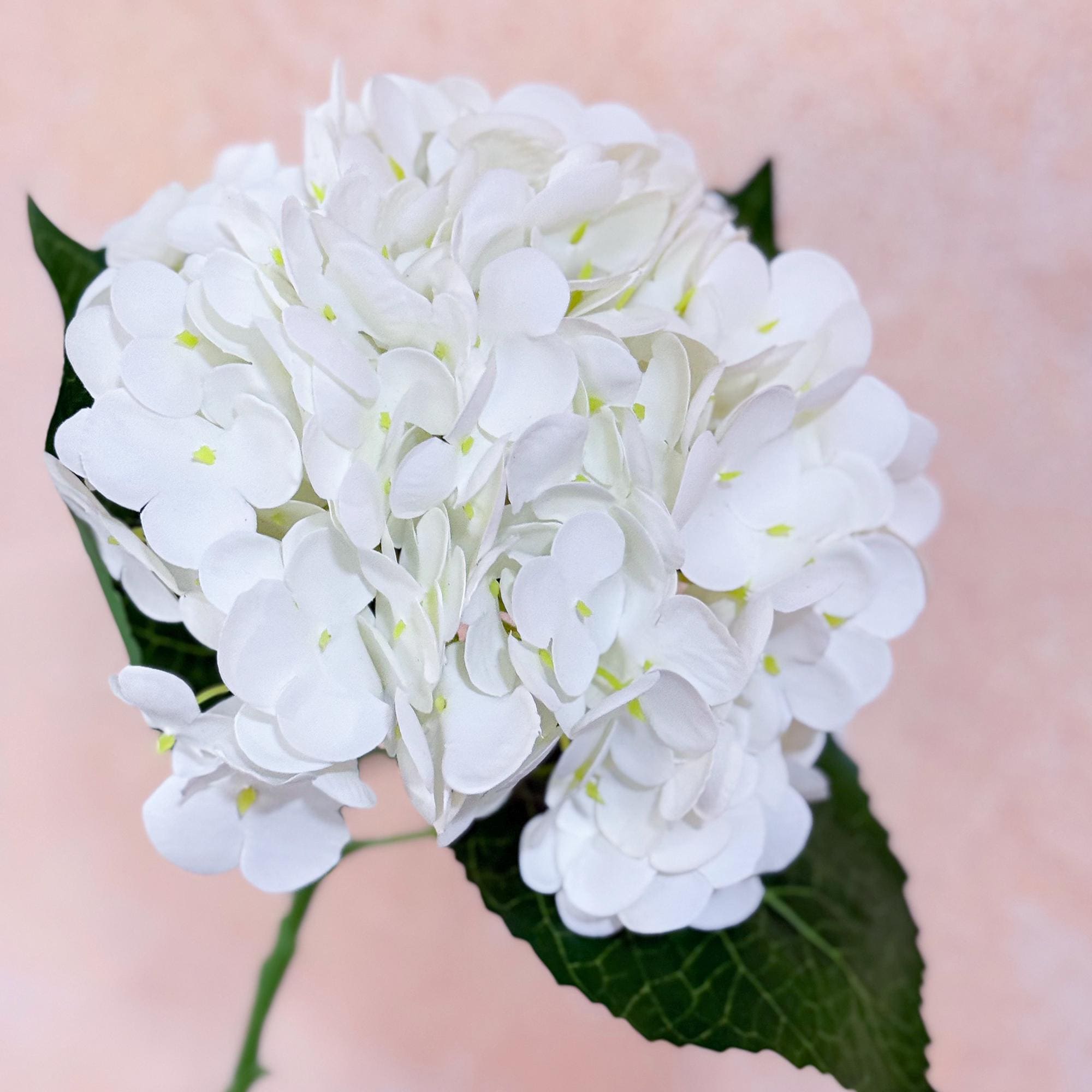 20" Real Touch Cream White Hydrangea Stem, Faux Hydrangea Flower for Vase Decor, Farmhouse Spring Floral Arrangement, Wedding Styling