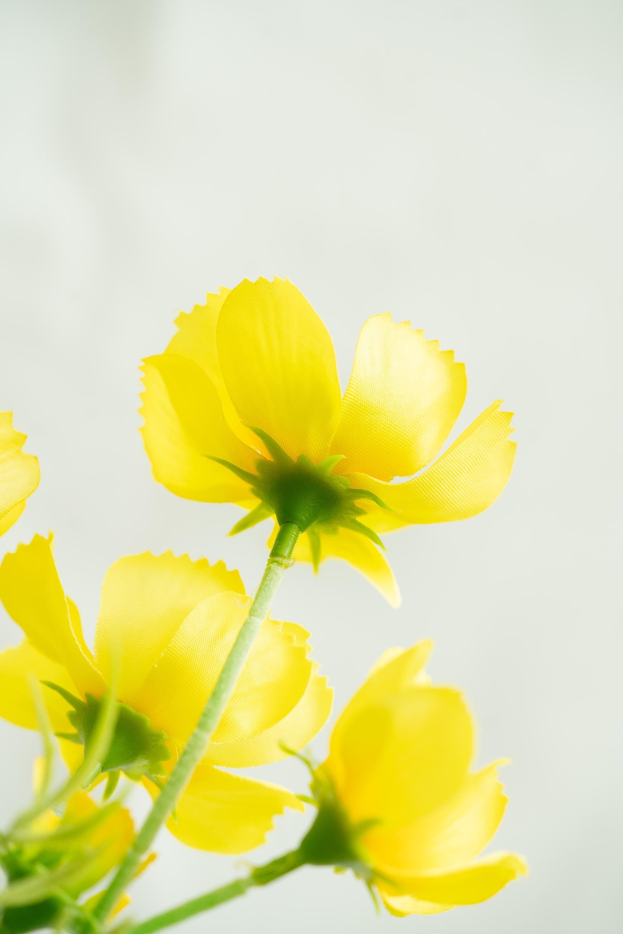23.6" Yellow Faux Cosmos Flowers – Long Stem Cosmos Bouquet Flowers for Home Décor, Wedding Arrangements & Table Centerpieces