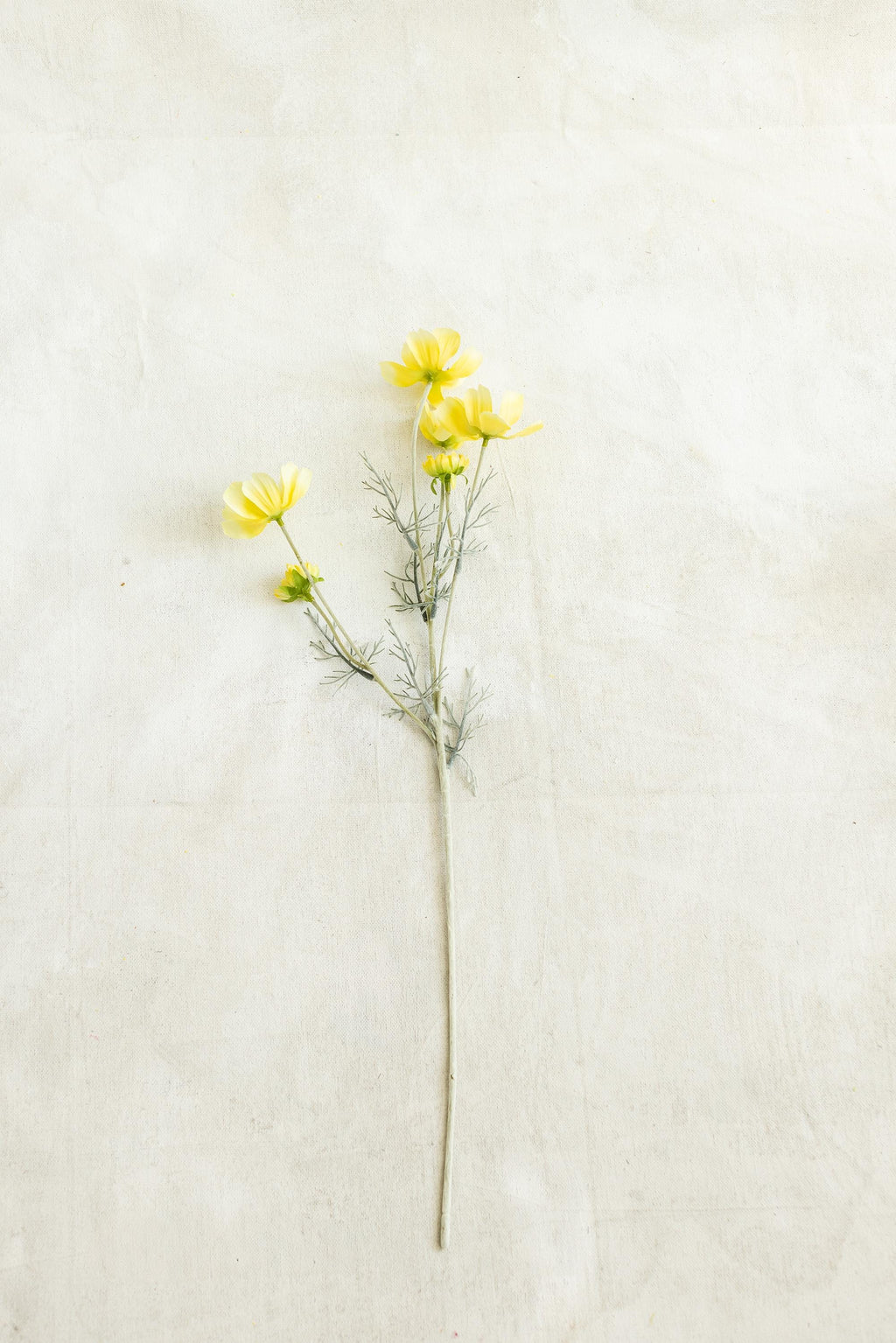 23.6" Light Yellow Faux Cosmos Flowers – Long Stem Cosmos Bouquet Flowers for Home Décor, Wedding Arrangements & Table Centerpieces