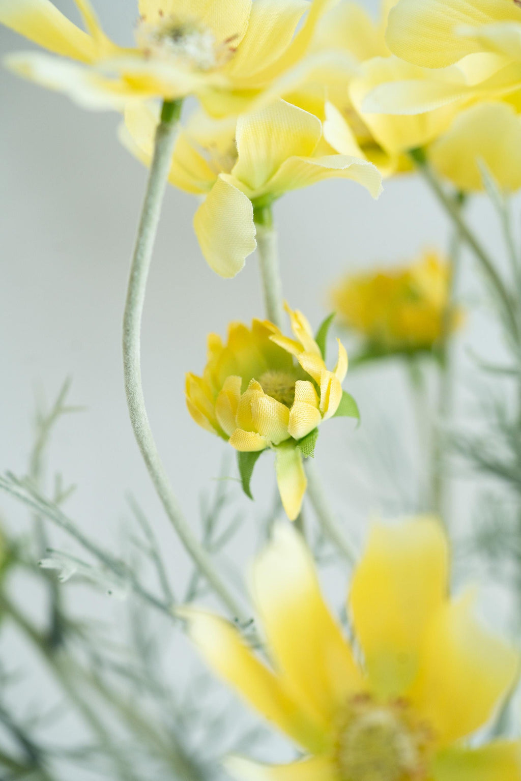 23.6" Light Yellow Faux Cosmos Flowers – Long Stem Cosmos Bouquet Flowers for Home Décor, Wedding Arrangements & Table Centerpieces