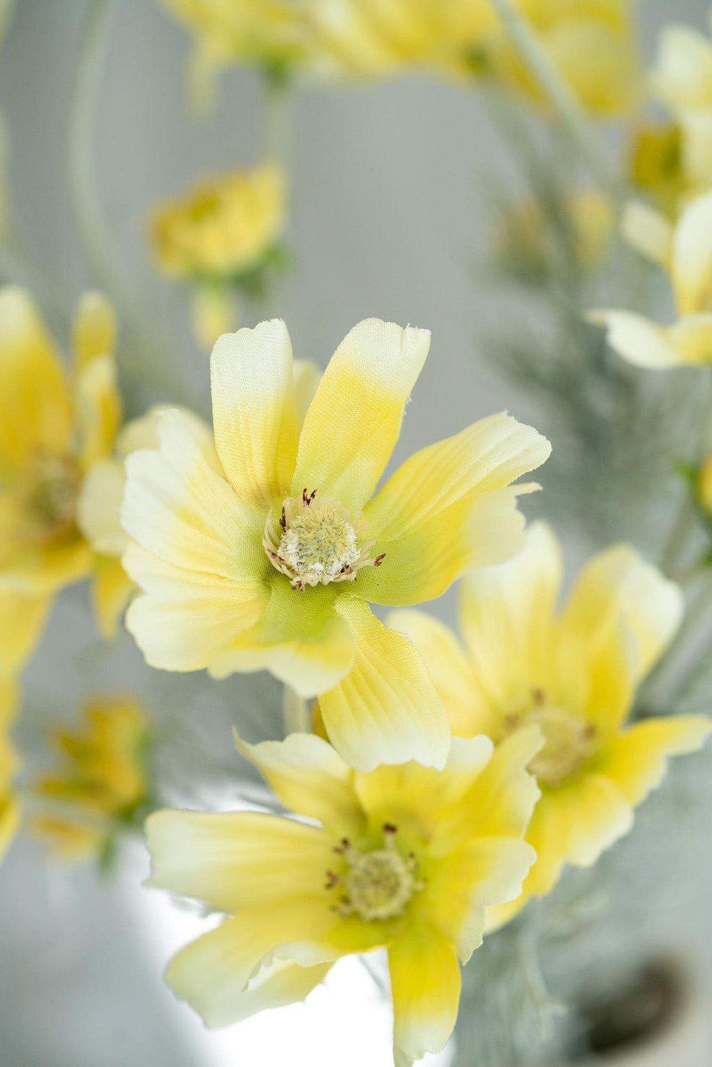 23.6" Light Yellow Faux Cosmos Flowers – Long Stem Cosmos Bouquet Flowers for Home Décor, Wedding Arrangements & Table Centerpieces