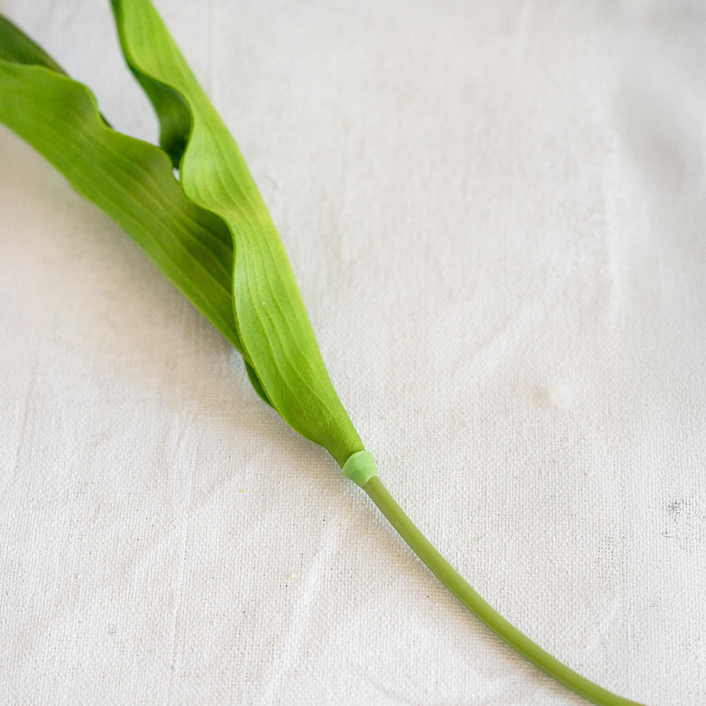 Real Touch Salmon Lily-Flowered Tulips Stems – Elegant PU Faux Decorative Flower for Easter, Gift for Her, Spring Brownie Floral Arrangement