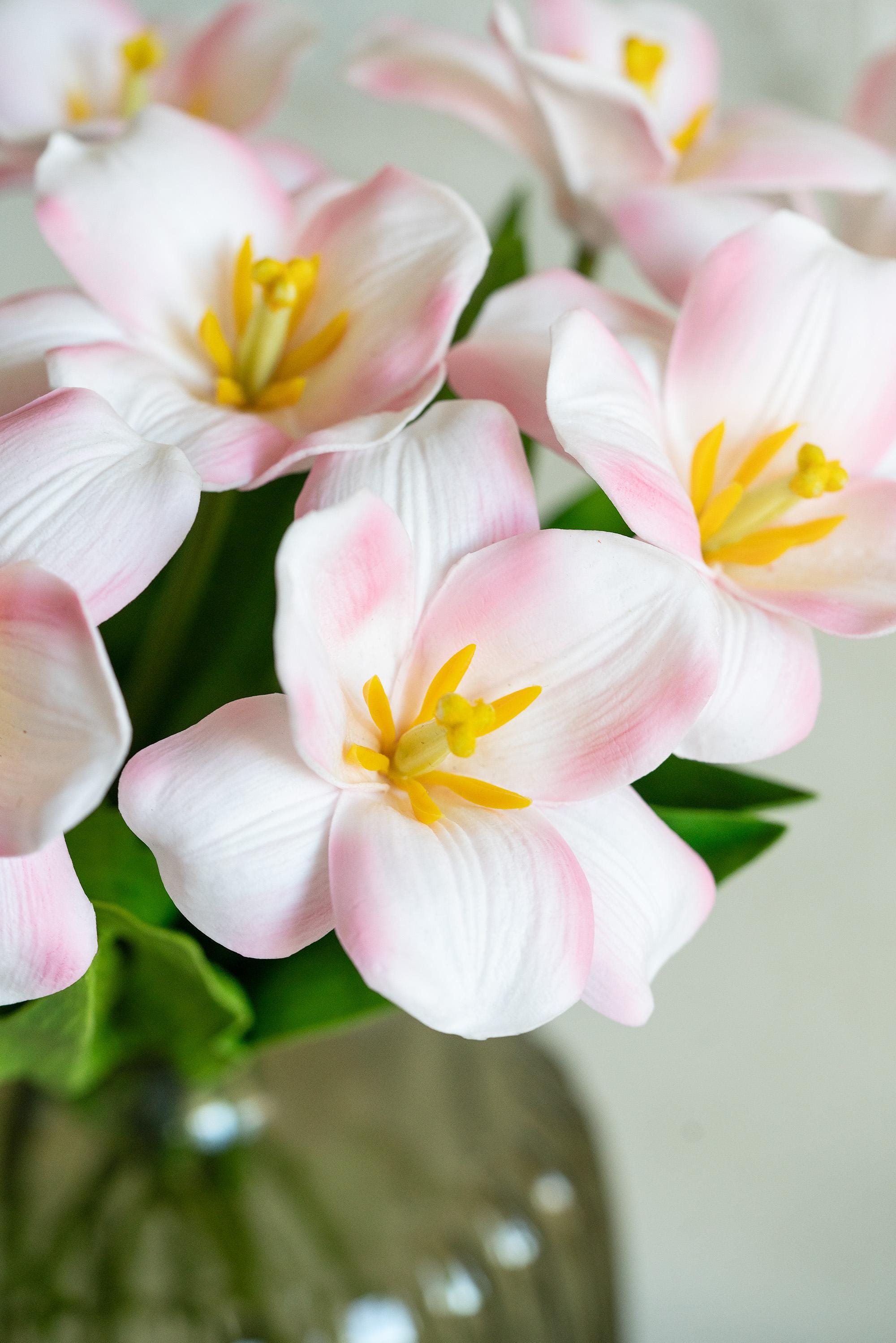 Real Touch Blush Pink Lily-Flowered Tulips Stem – Elegant Faux Decorative Flowers for Home Decor, Baby Shower, Romantic Floral Arrangements