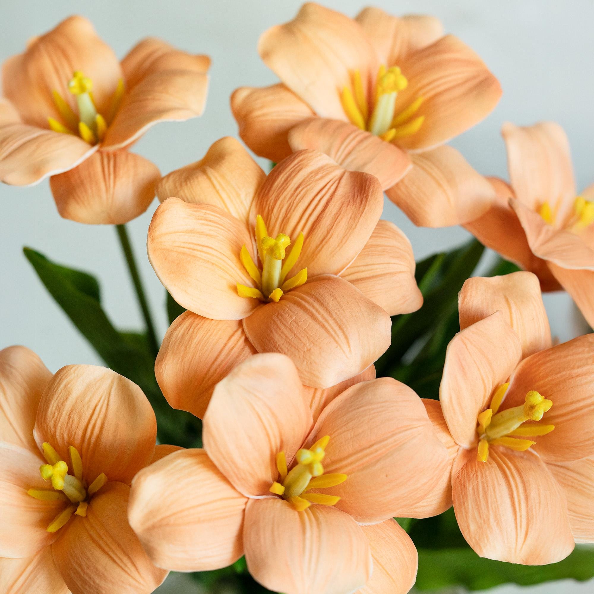 Real Touch Salmon Lily-Flowered Tulips Stems – Elegant PU Faux Decorative Flower for Easter, Gift for Her, Spring Brownie Floral Arrangement